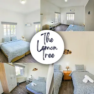 Auberge de jeunesse The Lemon Tree
